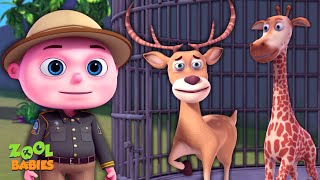 Missing Zoo Animals Episode | Cartoon Animation For Children | Videogyan Kids Shows | Zool Babies