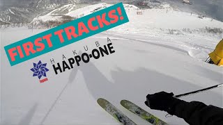 Powder Fields | Hakuba, Happo-One