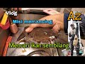 Misi MANCING IKAN SEMBILANG #fish #azprojectchannel #fishing #ikansembilang