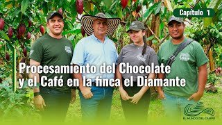 ☕🌿 Cacao, Café y Tradición en Finca El Diamante