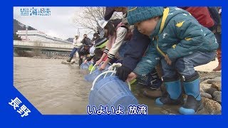 2017年 #30 サケの稚魚放流会 | 海と日本PROJECT in 長野