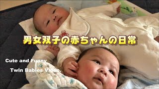 【男女双子の赤ちゃん】５ヵ月後半の日常！結構喋ります【Mix twins baby Vlog】Daily life of a 5 month old baby.