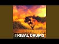 Log Drum (African Wood Drums)