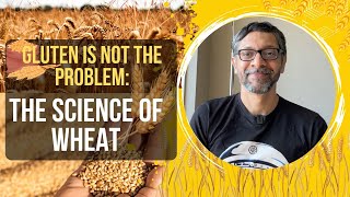 Gluten is Not the Problem: The Science of Wheat
