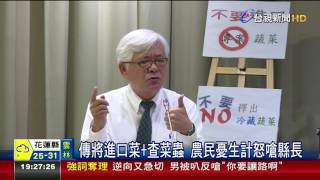 傳將進口菜+查菜蟲農民憂生計怒嗆縣長