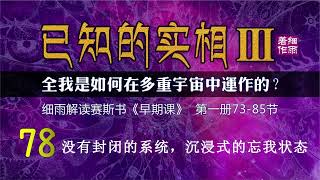 Y3 1 078 没有封闭的系统，沉浸式的忘我状态 《已知的实相III》第一册 （73 85） 细雨解读赛斯书《早期课》全我是如何在多重宇宙中运作的 五竹译本