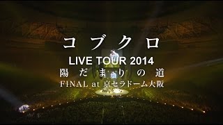 コブクロ - KOBUKURO LIVE TOUR 2014 陽だまりの道 FINAL at 京セラドーム大阪 SPOT映像