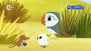 Puffin Rock theme song (Latin Spanish) Eureka tu canal airing