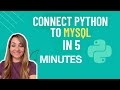 1: Connect Python to MySQL with XAMPP | Full Step-by-Step Tutorial for Beginners