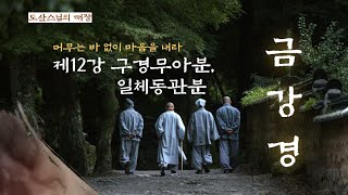 금강경 제12강 구경무아분, 일체동관분