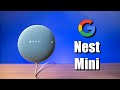 Setting Up the Google Nest Mini, New Features & World Wide Duo Calls
