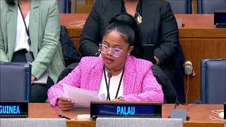 First Secretary Ianthe Douglas delivers Palau's statement at the 68th Session of the CSW at the UNHQ