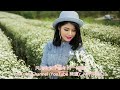 小小新娘花 新版 云菲菲 唱 bài hát tiếng hoa chinese mandarin song