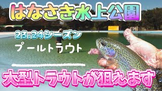 【エリアトラウト】埼玉のプールトラウトがアツい！格安で十分楽しめる加須はなさき公園。