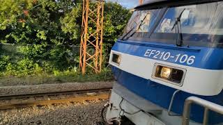 10月21日小田栄駅 #吹田A130運用 #1096レ EF210-106 #EF210桃太郎 #EF210100番台 #桃太郎新塗装 #EF210新塗装 #EF210106