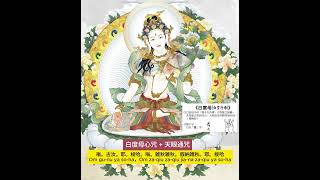 【精選❤️】法王蓮生活佛盧師尊 親誦108遍「白度母心咒+天眼通咒」White Tara and Heavenly Eyes mantra #白度母 #七眼佛母 #蓮生活佛 ​⁠