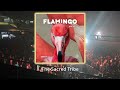 Flaminik - Butterfly (Original Mix) - #afrohouse #thesacredtribe