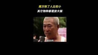 南方人和北方人的差異￼