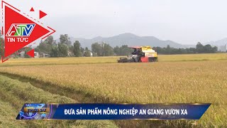 Đưa sản phẩm nông nghiệp An Giang vươn xa | ATV Tin tức
