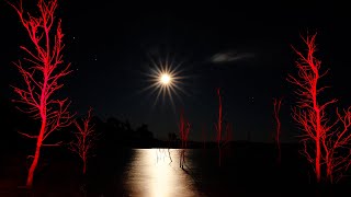 Lake Eildon Full Moon Fishing Road Trip