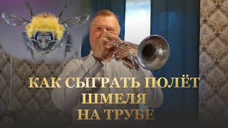 Как сыграть полёт шмеля на трубе. Техника пальцев.