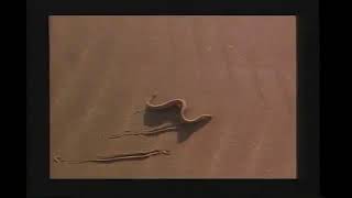 Missing Link 1988 Trailer