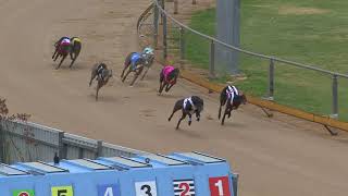 Gawler-03122019-Race-6