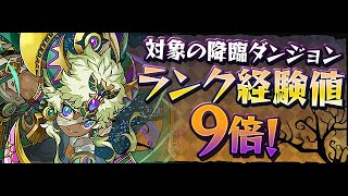 【パズドラ】牛魔王降臨　壊滅級　経験値9倍　確認