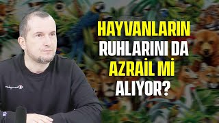 Hayvanların ruhlarını da Azrail mi alıyor? / Kerem Önder