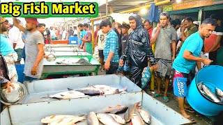 গাজীপুর জেলার সবচেয়ে বড় মাছের আড়ৎ। কালিয়াকৈর মাছ বাজার। Big Fish Market Gazipur  ।