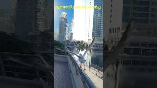 എന്റെ ഓഫീസ് അടുത്തുള്ള കാഴ്ച്ച #dubai #shorts #youtubeshorts #shortsfeed #trending #viralvideo