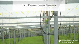 Eco Beam Full Steel Kiwifruit Orchard