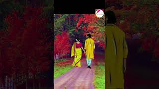 Lag Jaa Gale - Sadhana, Lata Mangeshkar, Woh Kaun Thi Romantic song