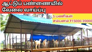 ஆட்டுப் பண்ணையில் வேலை வாய்ப்பு |Job in Goat farm