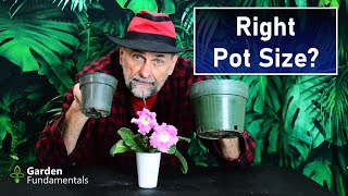 Best Pot Size for Potting On Seedlings and Houseplants?