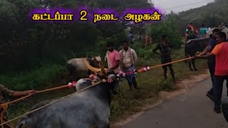 கட்டப்பா 2|| நடை அழகன் திருப்பூர் அழகுமலை ஜல்லிக்கட்டு