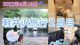 【チワワのクルミ】軽井沢旅行２日目　雨の日だから軽井沢プリンスショッピングプラザで買い物散歩🐾