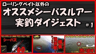 シーバス ルアー 初心者にもおすすめシーバスルアーを実釣ダイジェスト版で紹介します！！