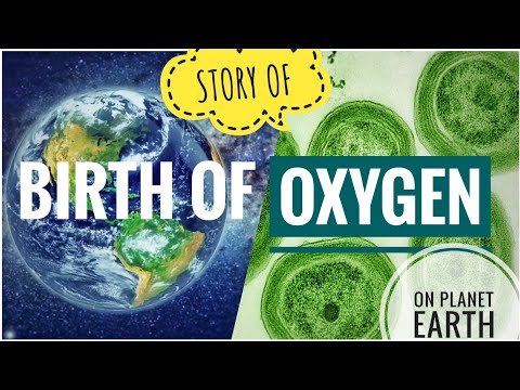 What is responsible for creating oxygen in our atmosphere?