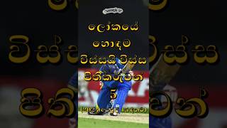 ලෝකයේ හොඳම විස්සයි විස්ස පිතිකරුවන් 5 🏏😍 | Top 5 T20i Batsman #හොඳම 5 #ක්‍රිකට් #විස්සයි විස්ස #t20i