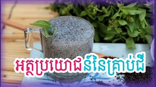 អាន|កុំមើលរំលង !!! អត្ថប្រយោជន៍ដ៏ល្អយ៉ាងច្រើនរបស់គ្រាប់ជី ចំពោះសុខភាពរបស់លោកអ្នក !!