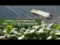 Teil 3 | Spinatanbau Im Folientunnel | Unkrautentfernung & Düngung Teil 3 | Spinatanbau Im Folientunnel | Unkrautentfernung & Düngung