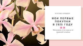 Новые орхидеи в коллекцию 🌸🌸