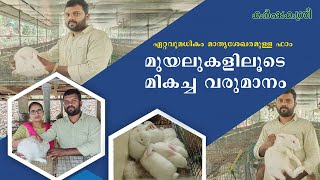 കേരളത്തിലെ ഏറ്റവും മികച്ച മുയല്‍ഫാമിലെ വിശേഷങ്ങള്‍ | Rabbit Farming | Karshakasree