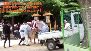 １０００年以上歴史ある京都　藤森神社の駆馬神事（2023.5.5）です。コロナ明けで、多くの見物客が楽しんでいました。