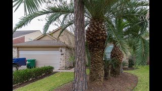 Residential for rent - 14303 Whitlock Drive, Houston, TX 77062