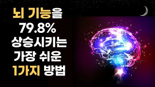 20년 뇌활용 전문가가의 뇌기능 향상 꿀팀/ 기억력 상승/ 성공하는 뇌/