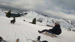 Sledging mayhem in Kuhtai, Austria.