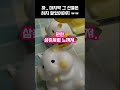 호구다 vs 꽃뱀이다 썰 이야기 고민 사연