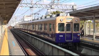 【阪神電鉄】 川の上の駅、武庫川駅で撮影した5331形5334F   15.4.11